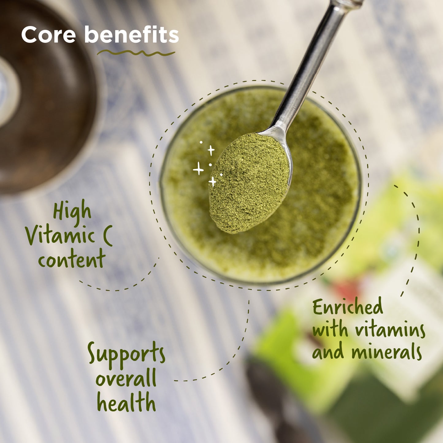Two Brothers Moringa Powder - 100g
